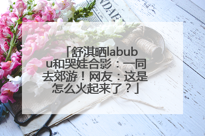 舒淇晒labubu和哭娃合影：一同去郊游！网友：这是怎么火起来了？