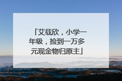 艾载欣，小学一年级，捡到一万多元现金物归原主