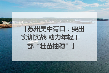苏州吴中胥口：突出实训实战 助力年轻干部“壮苗抽穗”