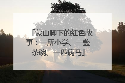 蒙山脚下的红色故事：一所小学、一盏茶碗、一匹病马
