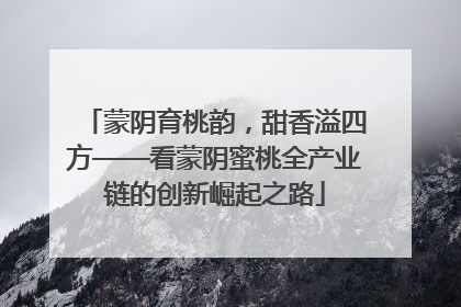 蒙阴育桃韵，甜香溢四方——看蒙阴蜜桃全产业链的创新崛起之路