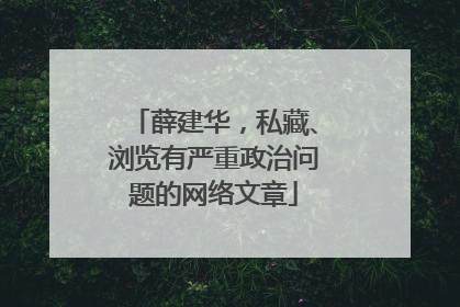 薛建华，私藏、浏览有严重政治问题的网络文章