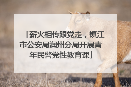 薪火相传跟党走，镇江市公安局润州分局开展青年民警党性教育课