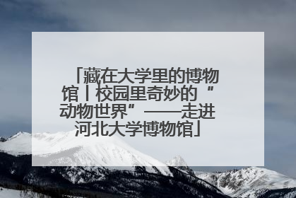 藏在大学里的博物馆丨校园里奇妙的“动物世界”——走进河北大学博物馆