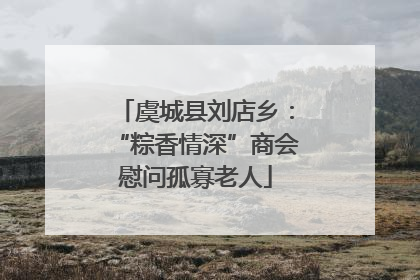 虞城县刘店乡：“粽香情深”商会慰问孤寡老人