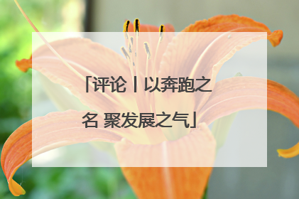 评论丨以奔跑之名 聚发展之气