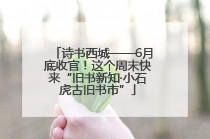 诗书西城——6月底收官！这个周末快来“旧书新知·小石虎古旧书市”