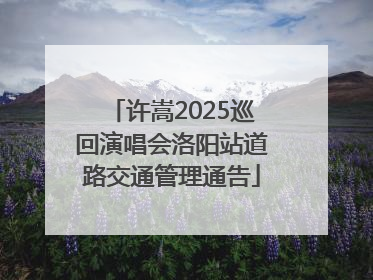 许嵩2025巡回演唱会洛阳站道路交通管理通告
