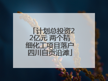 计划总投资22亿元 两个精细化工项目落户四川自贡沿滩