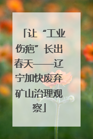 让“工业伤疤”长出春天——辽宁加快废弃矿山治理观察