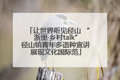 让世界听见径山 “浙里·乡村talk”径山镇青年多语种宣讲展现文化国际范
