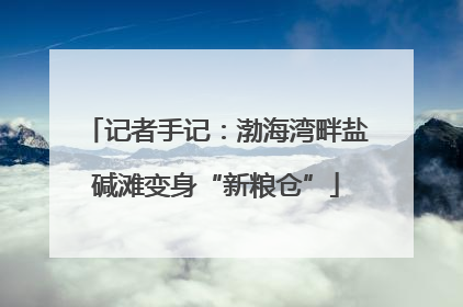 记者手记：渤海湾畔盐碱滩变身“新粮仓”