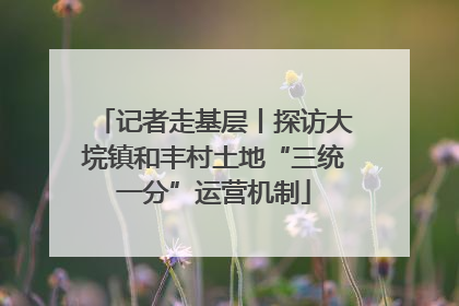 记者走基层丨探访大垸镇和丰村土地“三统一分”运营机制
