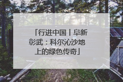 行进中国丨阜新彰武：科尔沁沙地上的绿色传奇