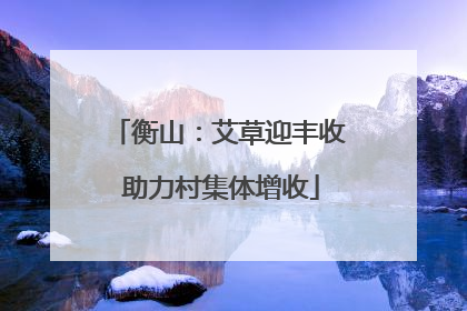 衡山：艾草迎丰收 助力村集体增收