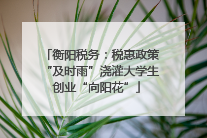 衡阳税务：税惠政策“及时雨”浇灌大学生创业“向阳花”