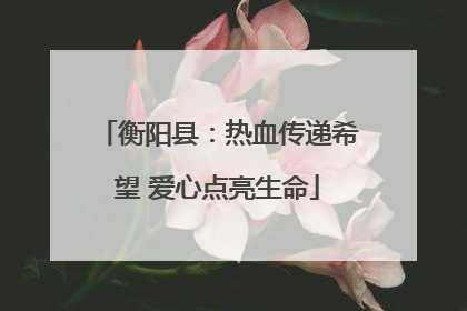 衡阳县：热血传递希望 爱心点亮生命