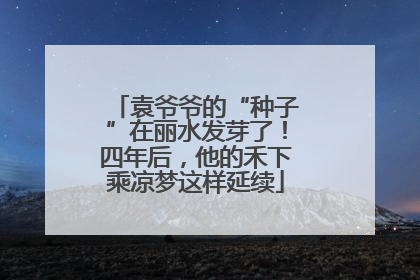 袁爷爷的“种子”在丽水发芽了！四年后，他的禾下乘凉梦这样延续