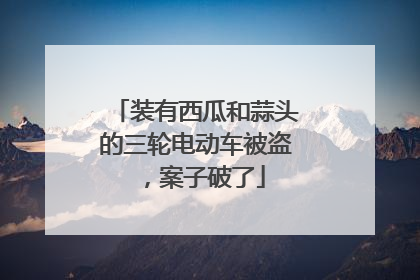 装有西瓜和蒜头的三轮电动车被盗，案子破了