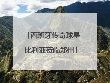 西班牙传奇球星 比利亚莅临郑州