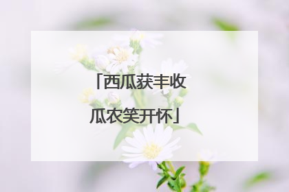 西瓜获丰收 瓜农笑开怀