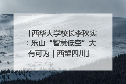 西华大学校长李秋实：乐山“智慧低空”大有可为｜西望四川