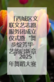 西城区文联文艺志愿服务团成立仪式暨“舞步绽芳华·艺韵启新章”2025年舞蹈大赛展演圆满举办