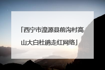 西宁市湟源县前沟村高山大白杜鹃走红网络