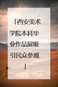 西安美术学院本科毕业作品展吸引民众参观