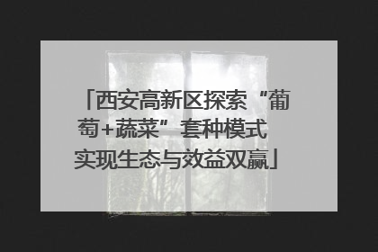 西安高新区探索“葡萄+蔬菜”套种模式 实现生态与效益双赢