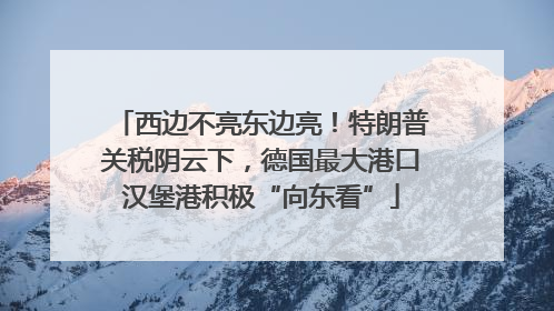 西边不亮东边亮！特朗普关税阴云下，德国最大港口汉堡港积极“向东看”