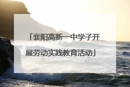 襄阳高新一中学子开展劳动实践教育活动