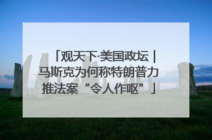 观天下·美国政坛｜马斯克为何称特朗普力推法案“令人作呕”