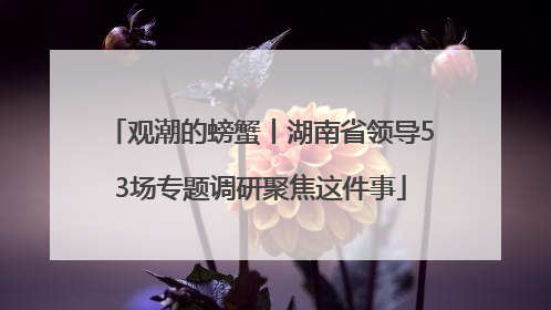 观潮的螃蟹丨湖南省领导53场专题调研聚焦这件事
