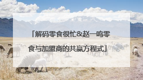 解码零食很忙&赵一鸣零食与加盟商的共赢方程式