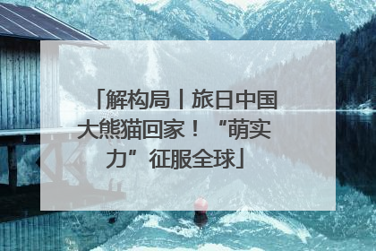 解构局丨旅日中国大熊猫回家！“萌实力”征服全球