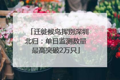 迁徙候鸟挥别深圳北归：单日监测数量最高突破2万只