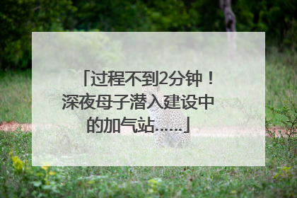 过程不到2分钟！深夜母子潜入建设中的加气站……