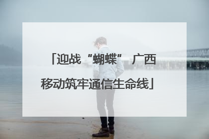 迎战“蝴蝶” 广西移动筑牢通信生命线