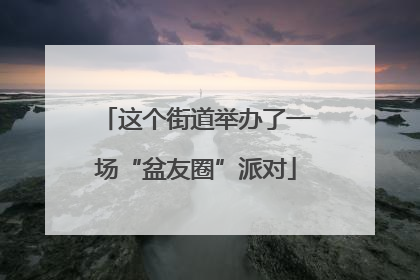 这个街道举办了一场“盆友圈”派对