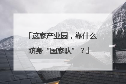 这家产业园，靠什么跻身“国家队”？