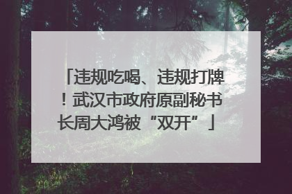 违规吃喝、违规打牌！武汉市政府原副秘书长周大鸿被“双开”