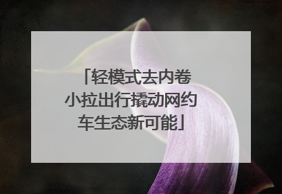 轻模式去内卷 小拉出行撬动网约车生态新可能