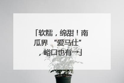 软糯，绵甜！南瓜界 “爱马仕”，峪口也有→
