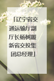 辽宁省交通运输厅副厅长杨树履新省交投集团总经理