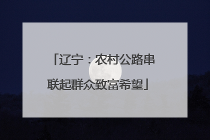 辽宁：农村公路串联起群众致富希望