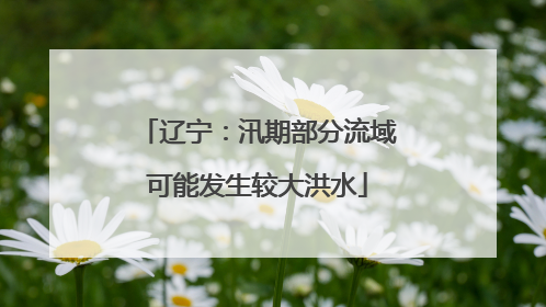 辽宁：汛期部分流域可能发生较大洪水