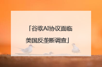 谷歌AI协议面临美国反垄断调查
