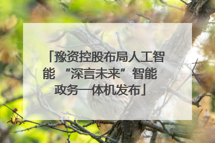 豫资控股布局人工智能 “深言未来”智能政务一体机发布