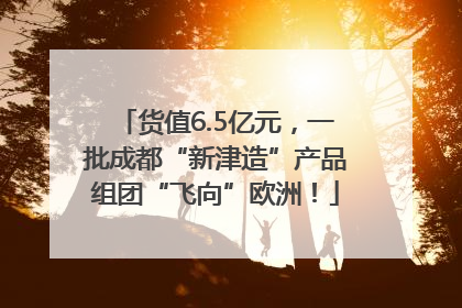 货值6.5亿元，一批成都“新津造”产品组团“飞向”欧洲！